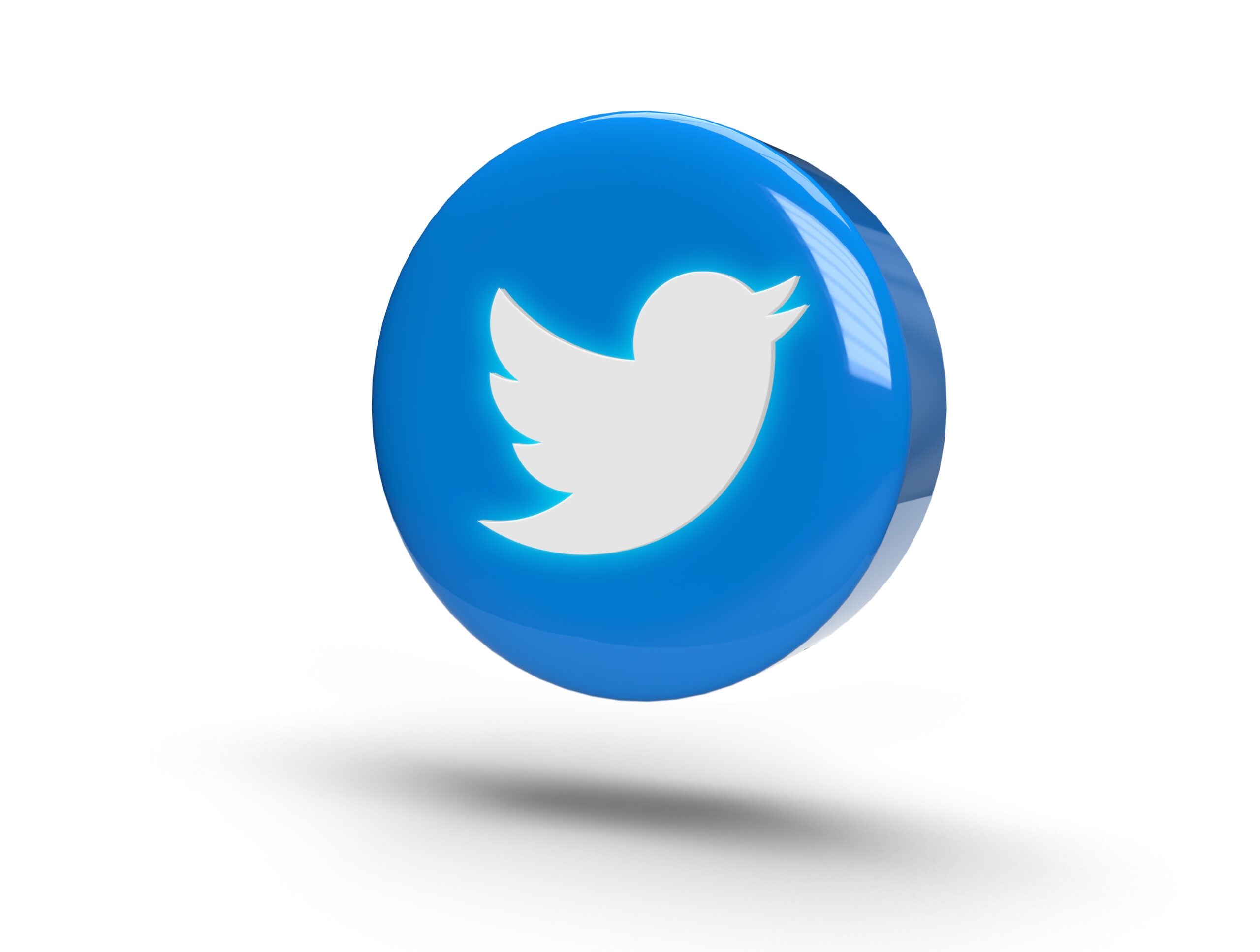 Twitter Logo